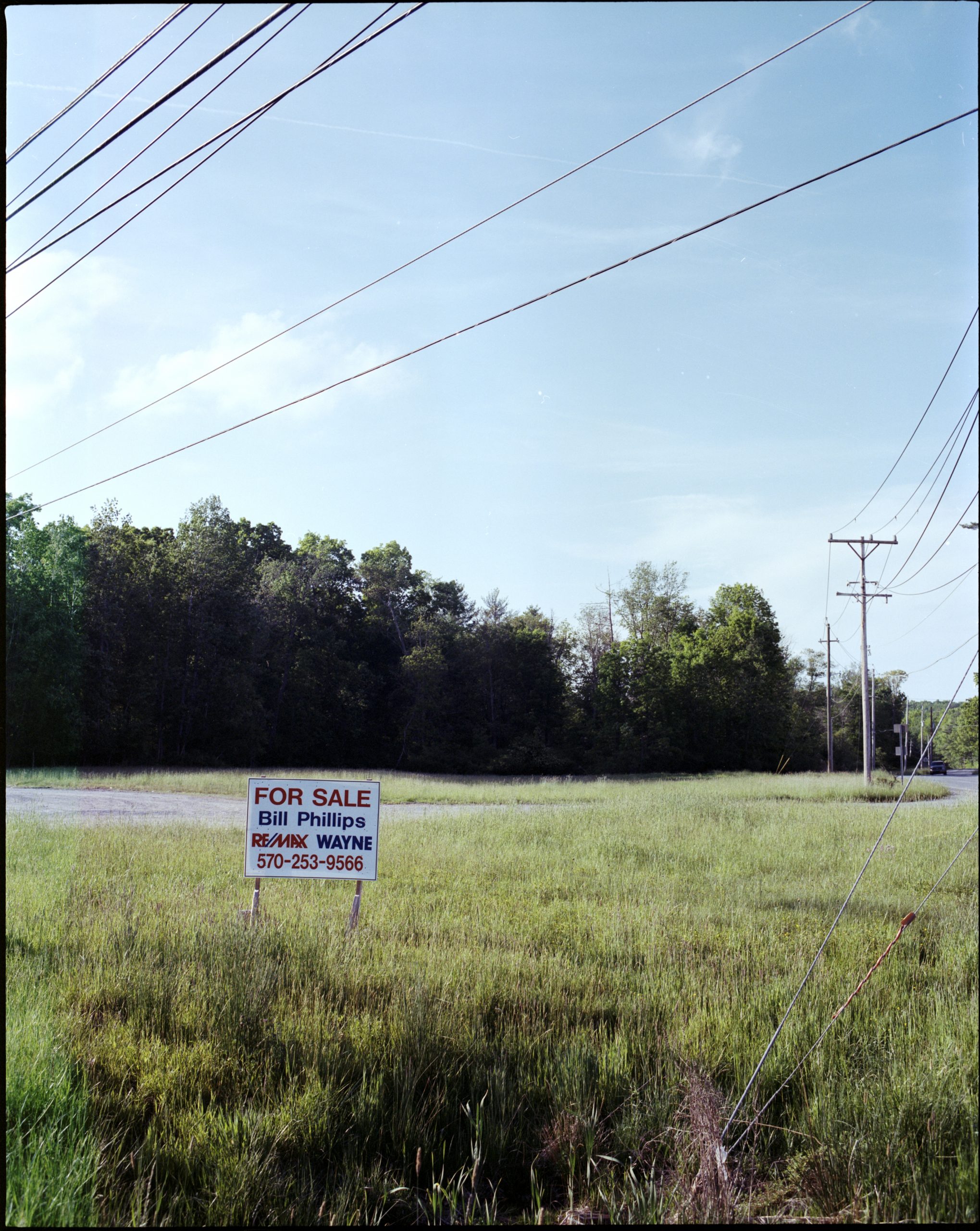 For Sale sign on Route 97, Tusten. Photo by Krystal Grow, 2021